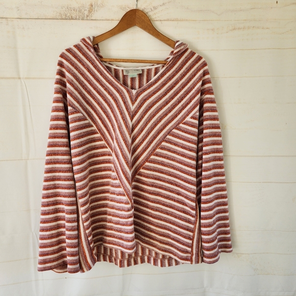 Saturday Sunday By Anthropologie Chenille Striped Hoodie - Picture 3 of 12